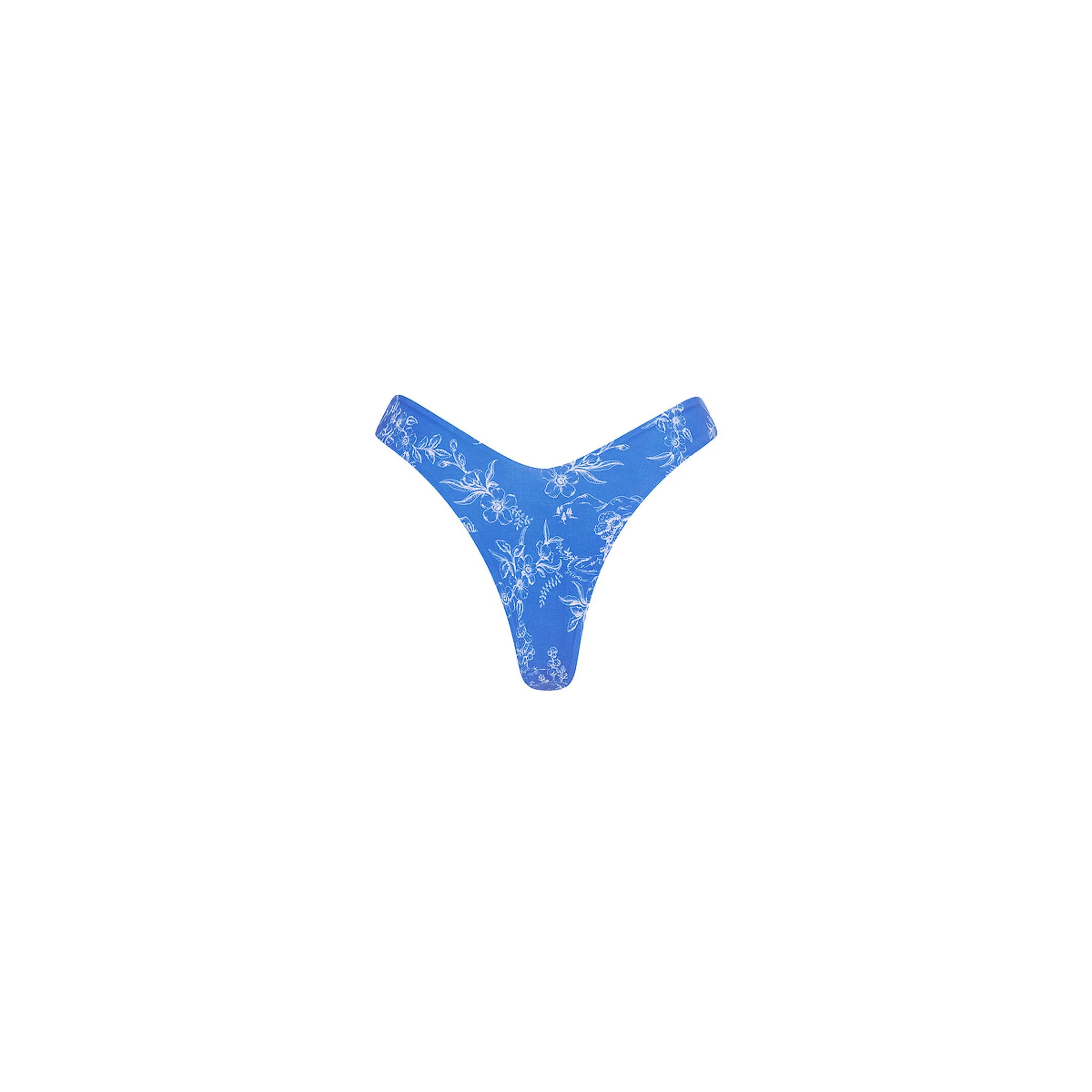 Y Cheeky Bikini Bottom - Rodeo Romeo - Image 11
